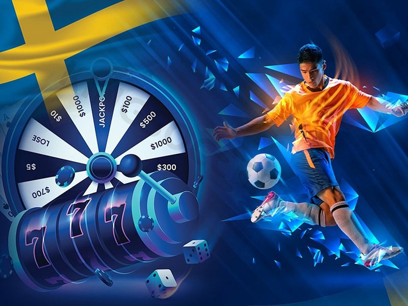 Everything You Need to Know About Hollywood Bet 14